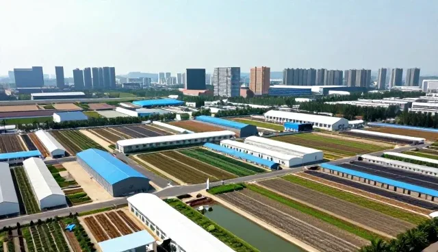 场景设计在品牌宣传片中的关键作用与维护建议