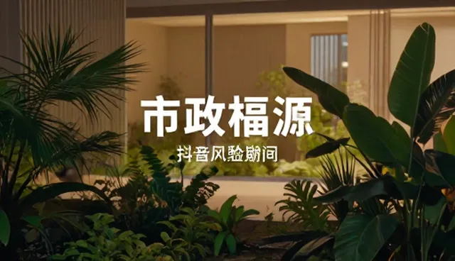 视觉呈现领域：创意内容制作的应用场景与趋势演变
