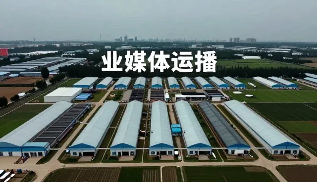 活动执行服务如何助力品牌传播效果提升
